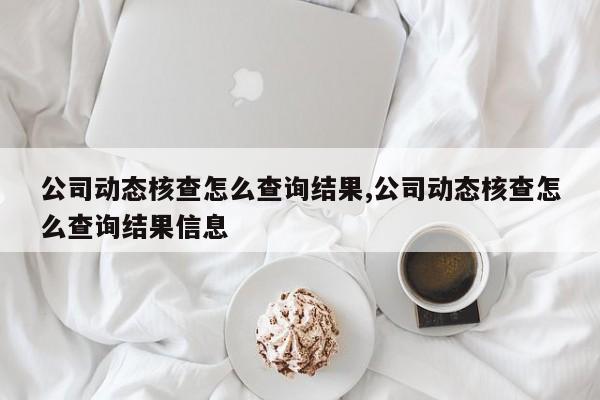 公司动态核查怎么查询结果,公司动态核查怎么查询结果信息