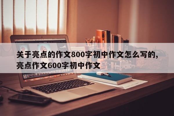关于亮点的作文800字初中作文怎么写的,亮点作文600字初中作文