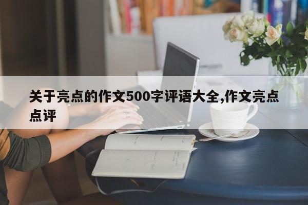 关于亮点的作文500字评语大全,作文亮点点评